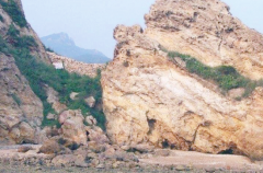 �L���r����ɰ��������ʡס���d�o��֪ͨ����ֹʹ���L���r�C��ɰ